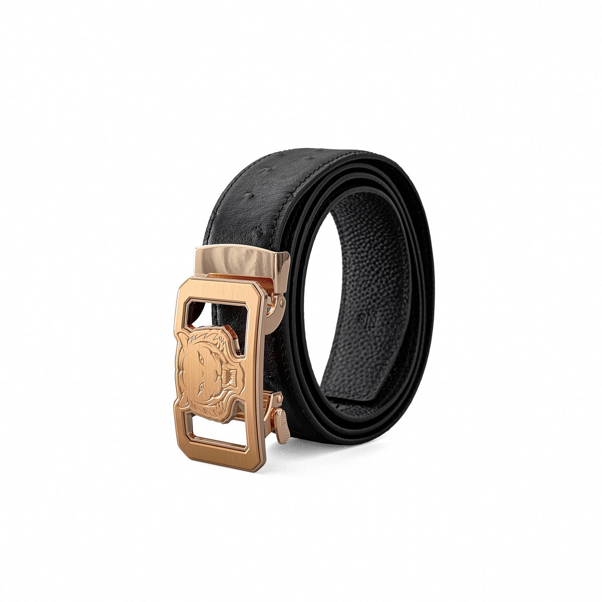 BLT038 - Ostrich-Emb. Leather Lion Auto BKL Belt – Gold Ed.-GOLD/BLACK – BAROCCO wholesale belts