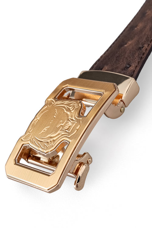 BLT039 - Ostrich-Emb. Leather Lion Auto BKL Belt – Gold Ed.-GOLD/COFFEE – view 2