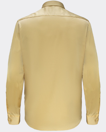 Barocco Luxe Satin Stretch Shirt-CHAMPAGNE