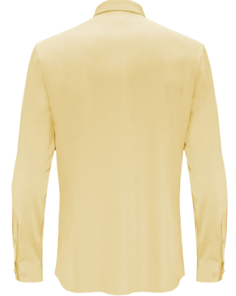 Zen Appeal LS button down shirt-GOLD